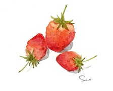 1437886359530033164.jpeg 20131018143532_JkeM5.thumb.224_0.jpeg