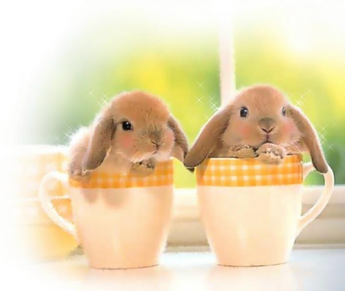 1437886731557052094.png blob.png